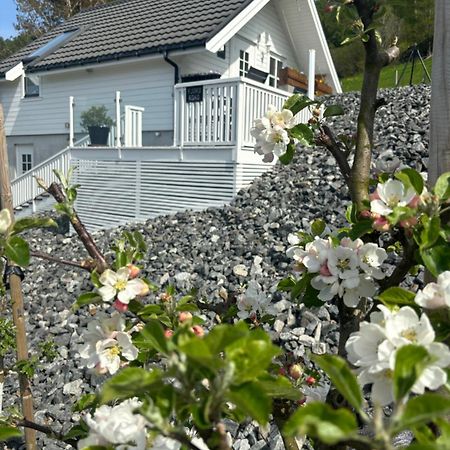 Fjord Road Lägenhet Hjelmeland Exteriör bild