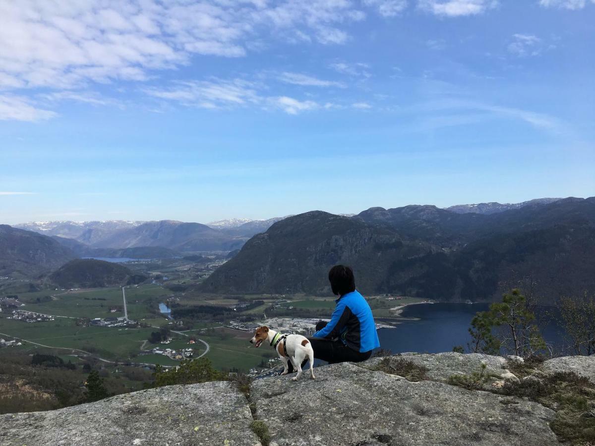 Fjord Road Lägenhet Hjelmeland Exteriör bild