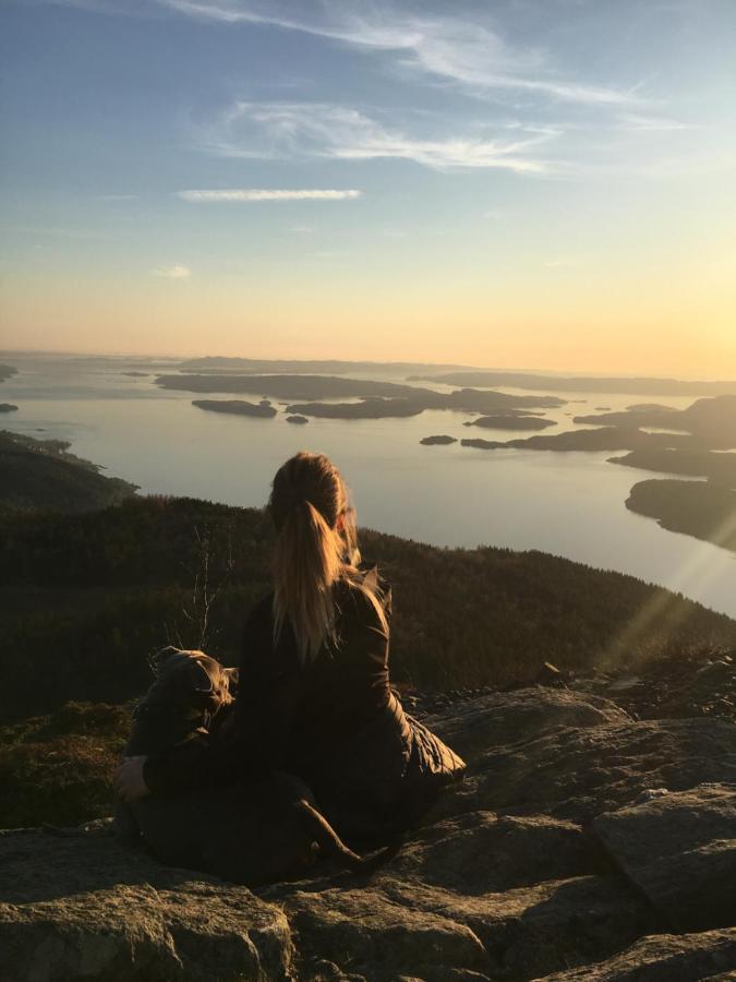 Fjord Road Lägenhet Hjelmeland Exteriör bild